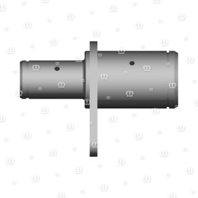 Bolzen Rd.45X54 Krone