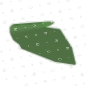 Seitenteil Li. Krone
