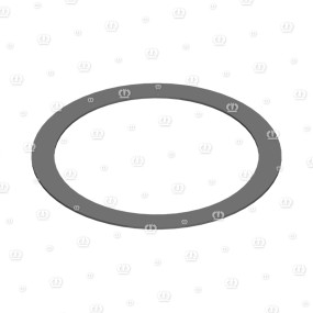 Passscheibe 45X 55X 0,5 Krone