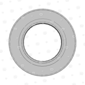 Si.ring 55X100X10 Krone