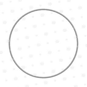 O-Ring Or 209,1 X 3,53 Krone
