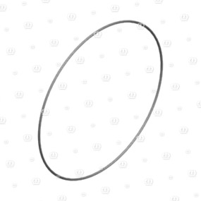O-Ring Or 291,69X3,53 Krone