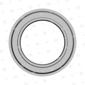 Gleitring Krone