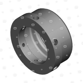 Gleitring Krone