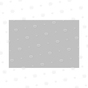 Gummiplatte 250X170X20 Krone