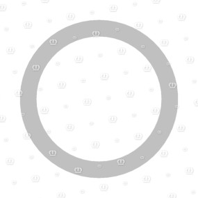 Distanzbuchse Ro=44,5X6,3 Krone