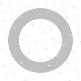 Distanzscheibe Rd=30,2X5 Krone
