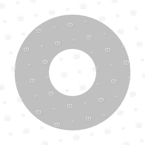 Endscheibe Rd=25X5 Krone