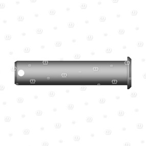 Bolzen M.kopf Rd.40X144 Krone