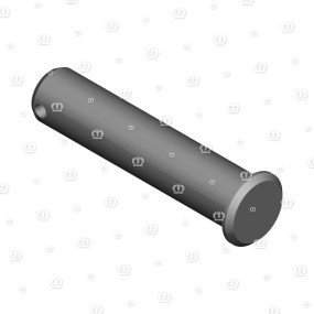 Bolzen M.kopf Rd.40X144 Krone