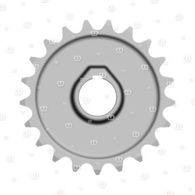 Kettenrad 21Z.1-1/4″,55B. Krone