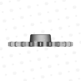 Kettenrad 21Z.1-1/4″,55B. Krone