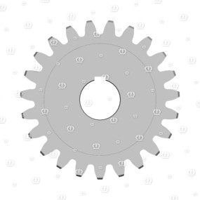 Stirnrad Krone
