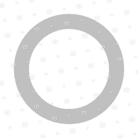 Scheibe 76,1X16X6 Krone