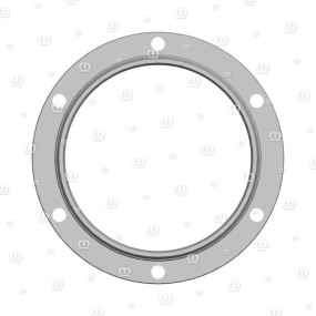 Ring Rd.170X25 Kopfseite Krone