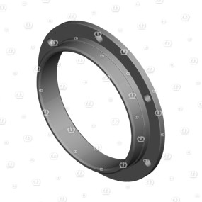 Ring Rd.170X25 Kopfseite Krone