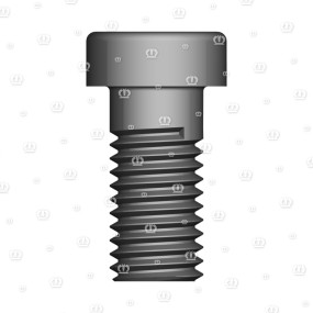 Zyl.schr.m12X25 Krone