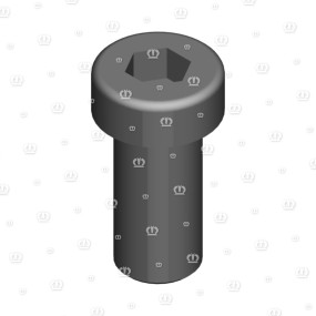 Zyl.schr.m12X25 Krone