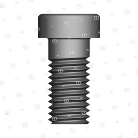 Zyl.schr.m12X25 Krone