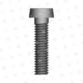 Zyl.schr. 4X16 84 Krone