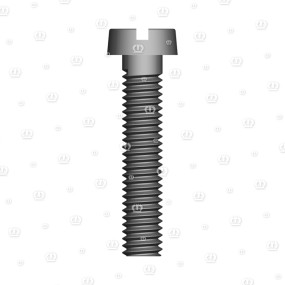 Zyl.schr. Am 4X20 D.84 Krone