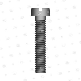 Zyl.-Schraube Am 5X25 Krone