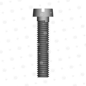 Zyl.-Schraube Am 5X25 Krone