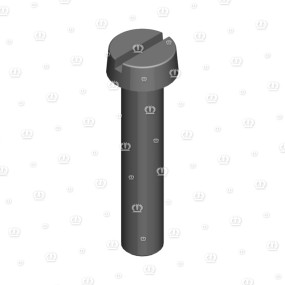 Zyl.-Schraube Am 5X25 Krone