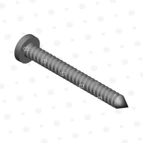 Linsenblechschr. B4,8X45 Krone 9068022