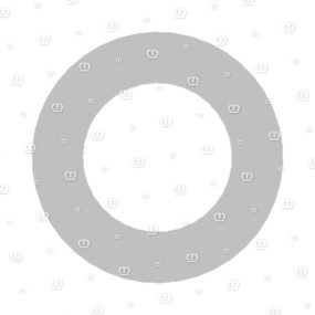 Scheibe 22X37X8 Krone