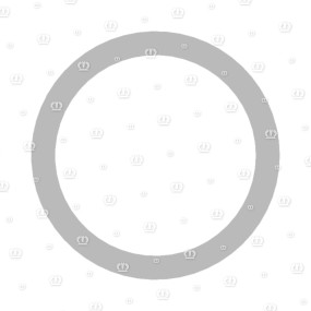 Passscheibe 55X 68X 1 Krone