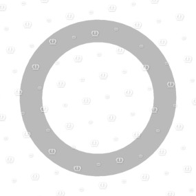 Passscheibe 30X 42X 0,1 Krone