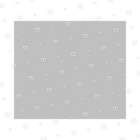 Passf. B8X7X25 6885 Krone