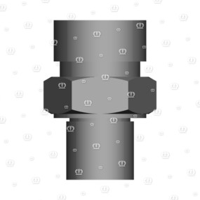 Einschr.stutzen L12 G 1/4 Krone