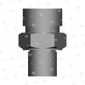 Einschr.stutzen L12 G 1/4 Krone