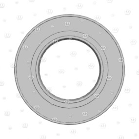 Si.ring As 65X120X13 Krone