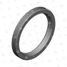 Si.ring 55X70X 8 B1 Krone 9362020