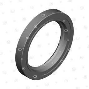 Si.ring 55X80X10 B2 Krone