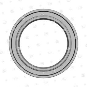 Si.ring 55X80X10 B2 Krone