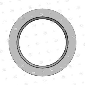 Si.ring 55X80X10 B2 Krone