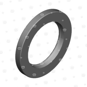 Si.ring 65X100X10 B2 Krone 9364310
