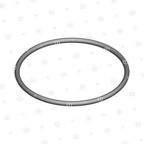 O-Ring Or 42-2 Krone