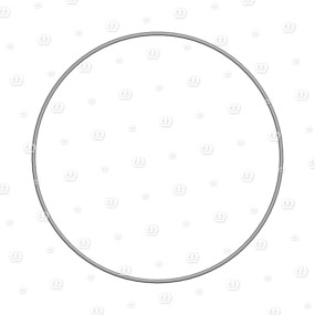 O-Ring Or 228,19X3,53 Krone