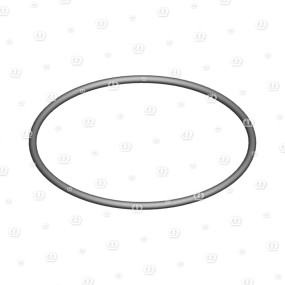 O-Ring Or 98,02-3,53 Krone