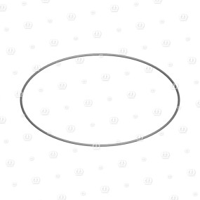 O-Ring Or 278,99X3,53 Krone
