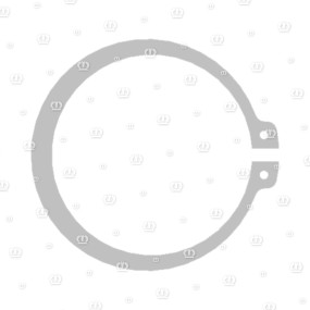 Sicherungsring A 58X2 /471 Krone