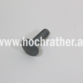 Flachrundschraube 4Kt M10 X 35 Dt Krone 900016870