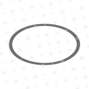Passscheibe 100X110X0,5 Krone