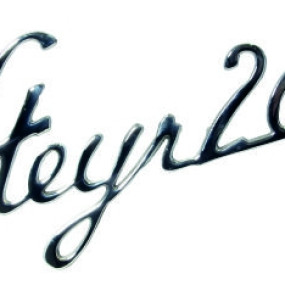 Schriftzug Steyr 288 130310288