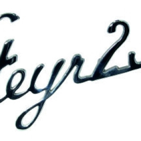 Schriftzug Steyr 290 130310290